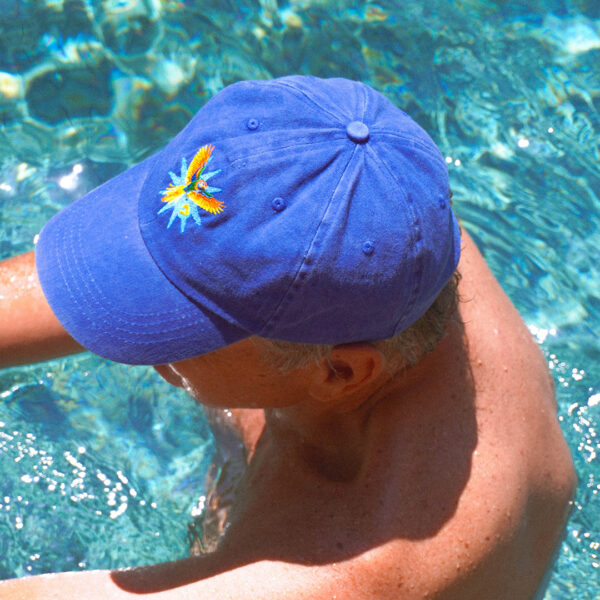 HOLA PALMA Cap – Image 3